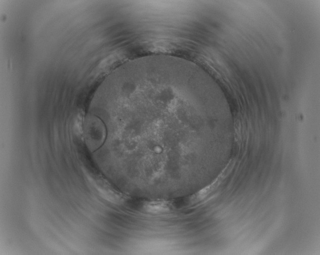 X0000089880175200706281358