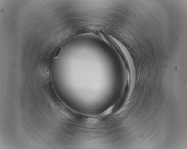 X0000089880176200706281358