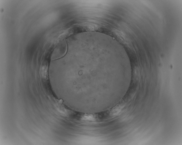 X0000089880177200706281359