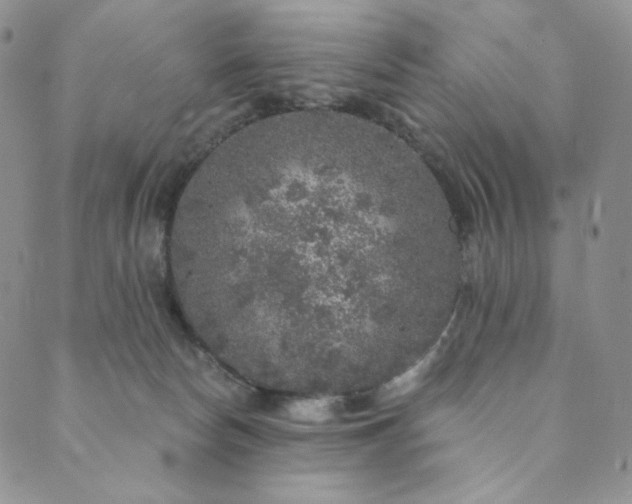 X0000089880178200706281359