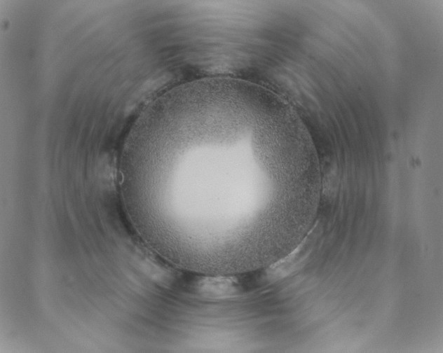 X0000089880179200706281359