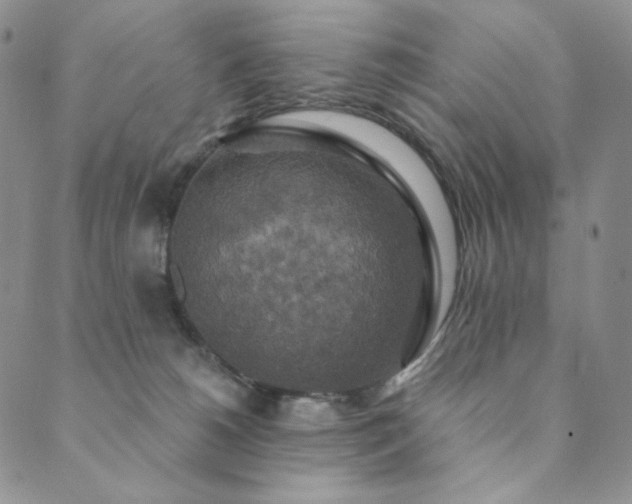 X0000089880180200706281359