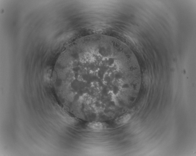 X0000089880181200706281359