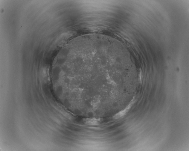 X0000089880182200706281359