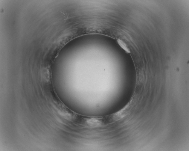 X0000089880183200706281359