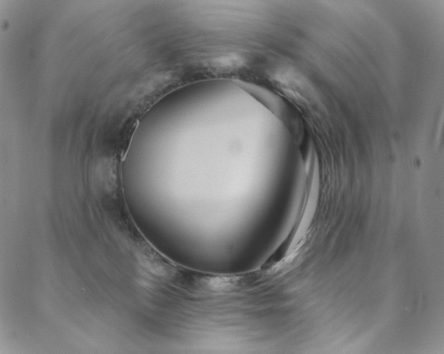 X0000089880184200706281359