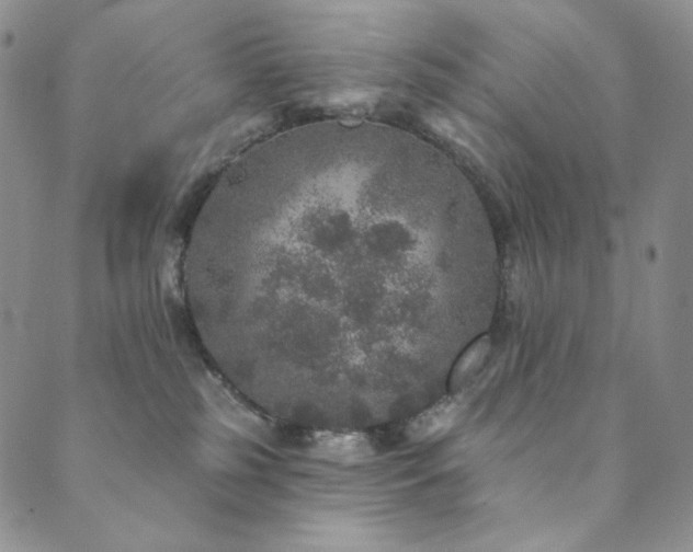 X0000089880185200706281359