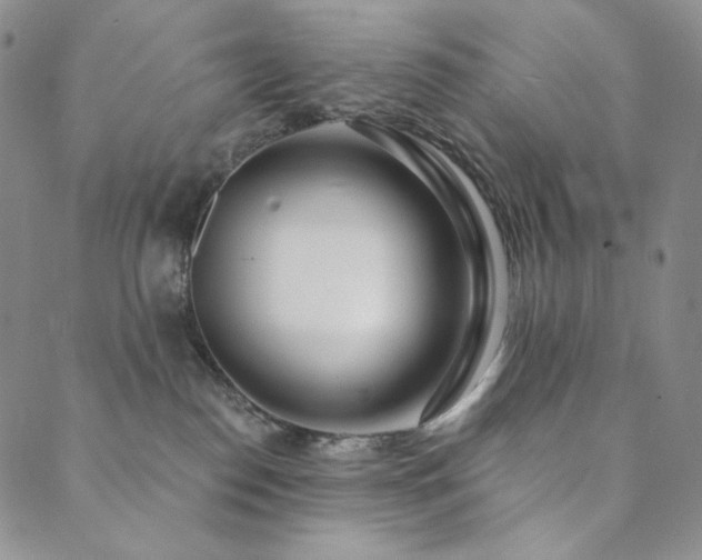 X0000089880186200706281359