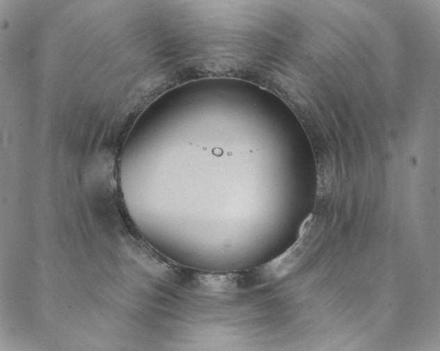 X0000089880187200706281359