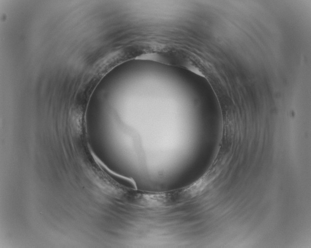 X0000089880188200706281359