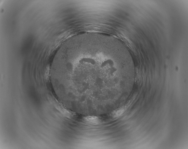 X0000089880189200706281359