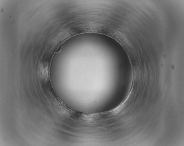 X0000089880190200706281359