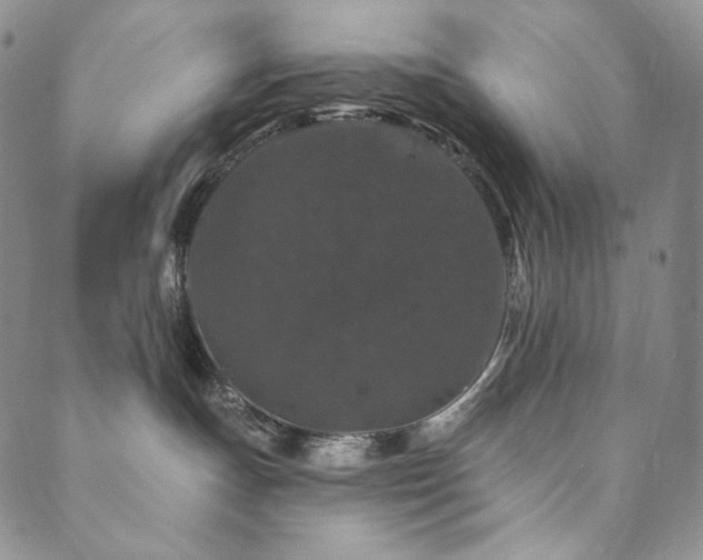 X0000089880191200706281359