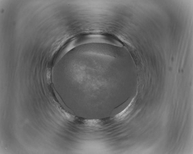 X0000089880192200706281359