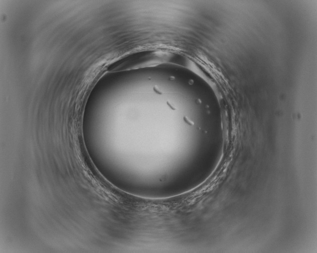 X0000089880193200706281358