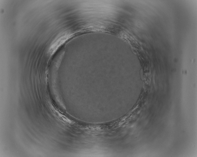 X0000089880194200706281358