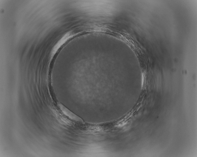 X0000089880195200706281358