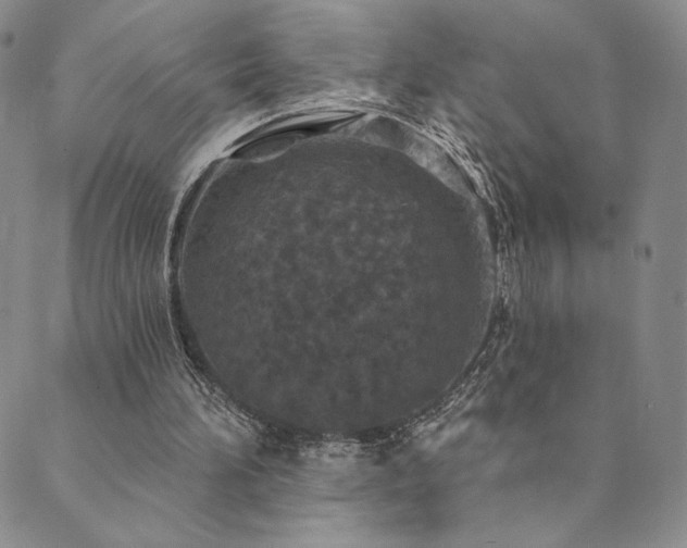 X0000089880196200706281358