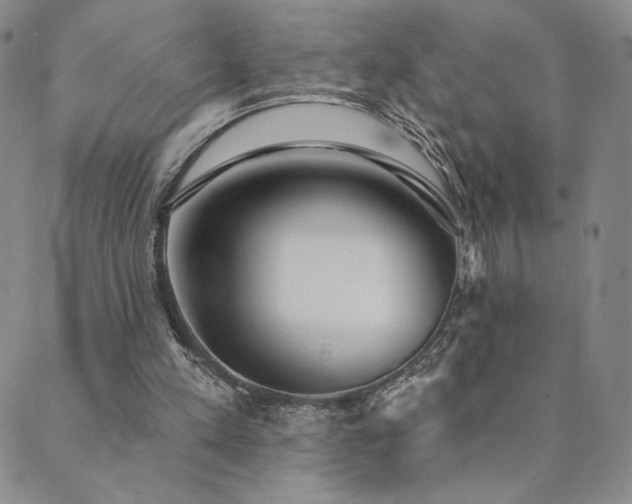 X0000089880197200706281358