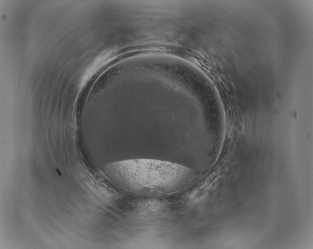 X0000089880198200706281358