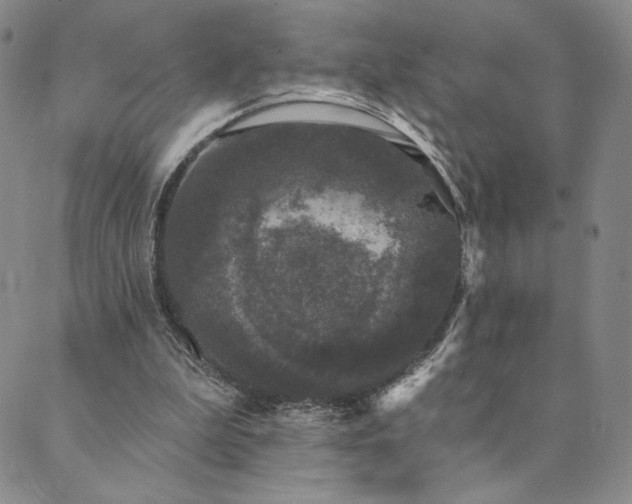 X0000089880199200706281358