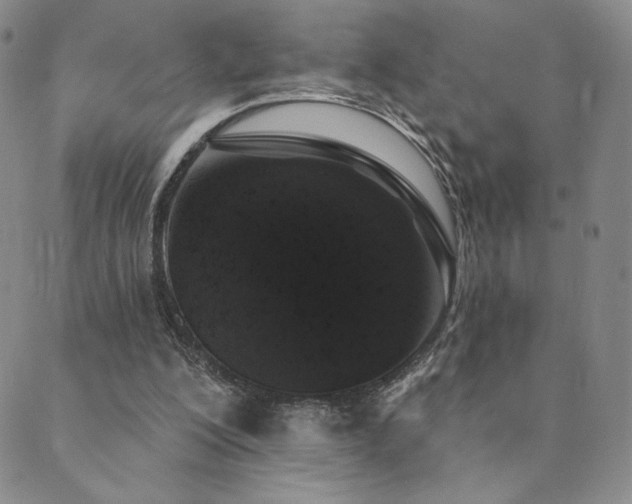 X0000089880200200706281358