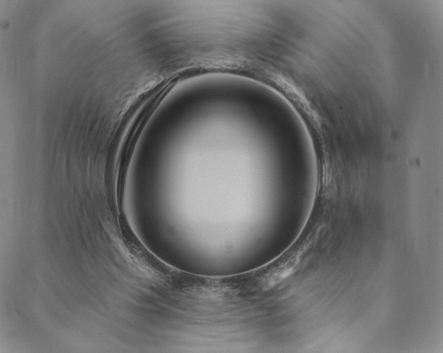 X0000089880201200706281358