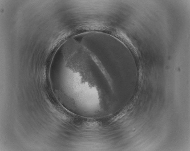 X0000089880202200706281358