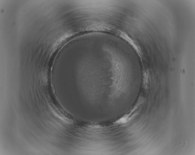 X0000089880203200706281358