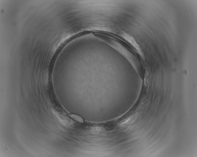 X0000089880204200706281358