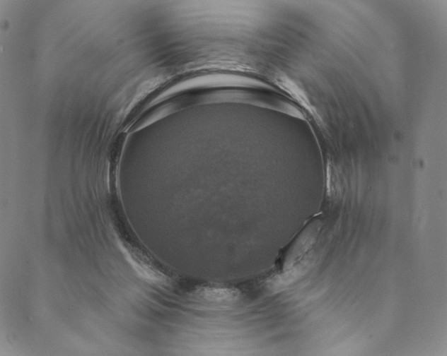 X0000089880205200706281358