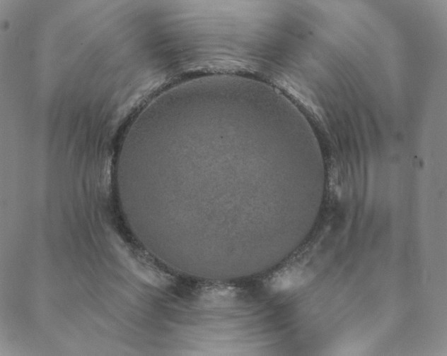 X0000089880206200706281358