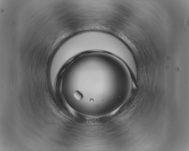 X0000089880207200706281358