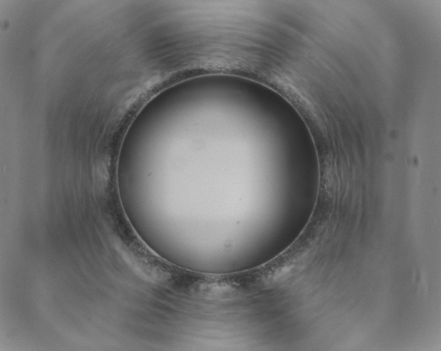 X0000089880208200706281358