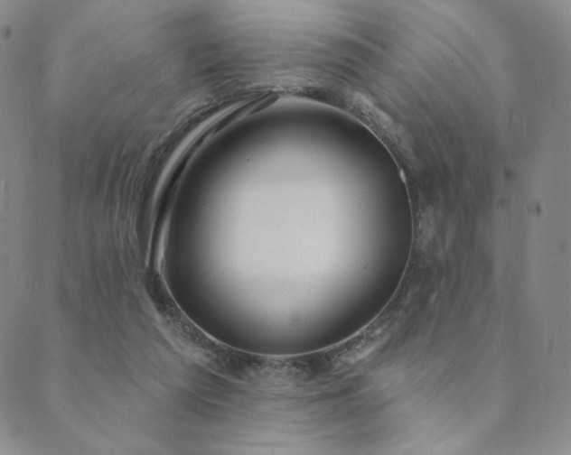 X0000089880209200706281358