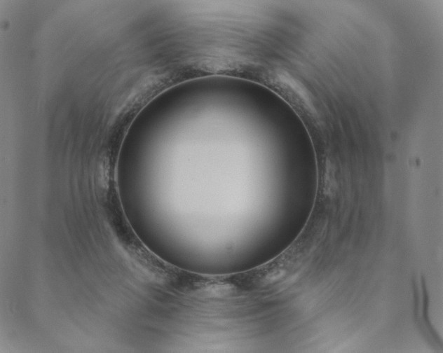 X0000089880210200706281358