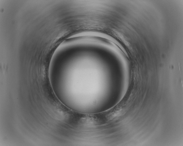 X0000089880211200706281358