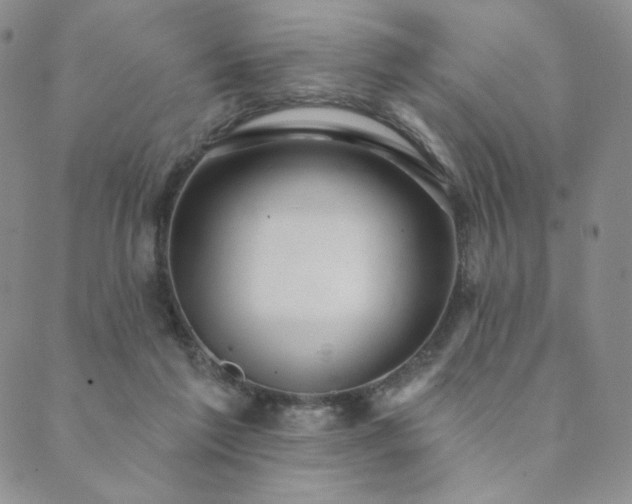 X0000089880213200706281358