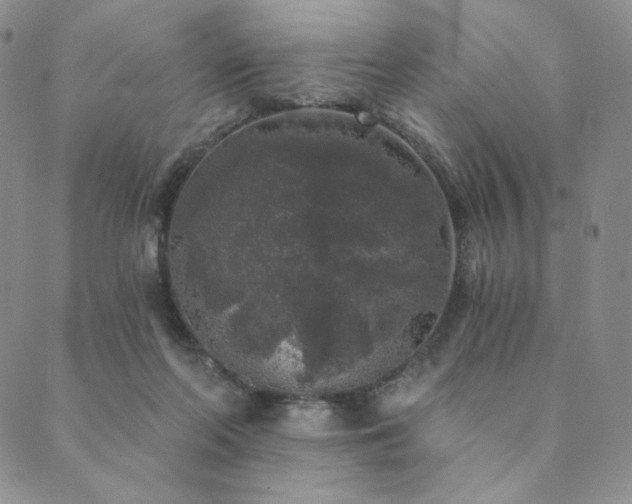 X0000089880214200706281358