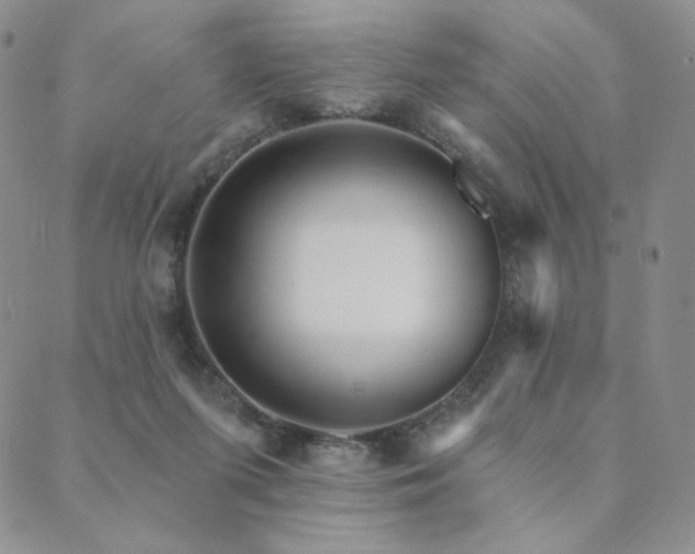 X0000089880215200706281358