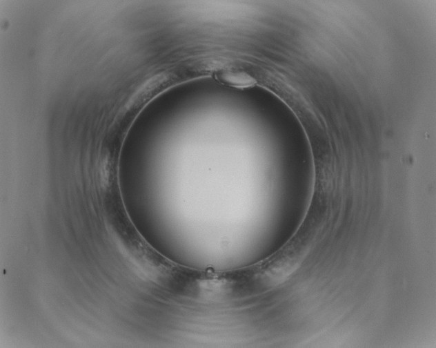 X0000089880216200706281358