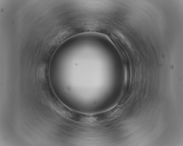 X0000089880217200706281358