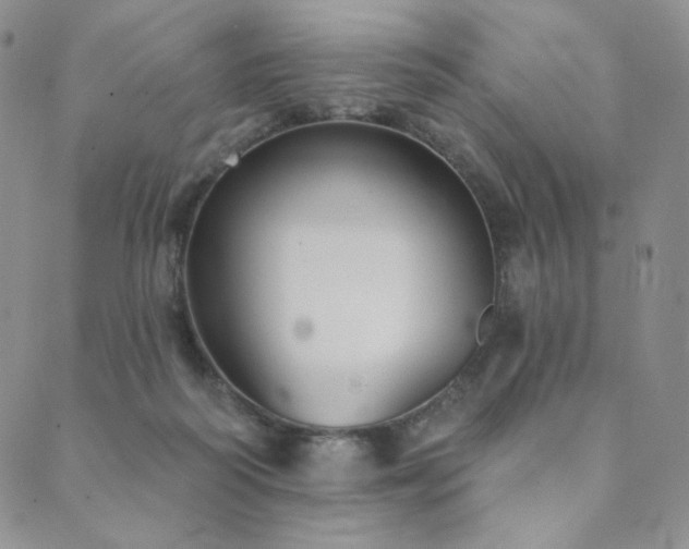 X0000089880218200706281358