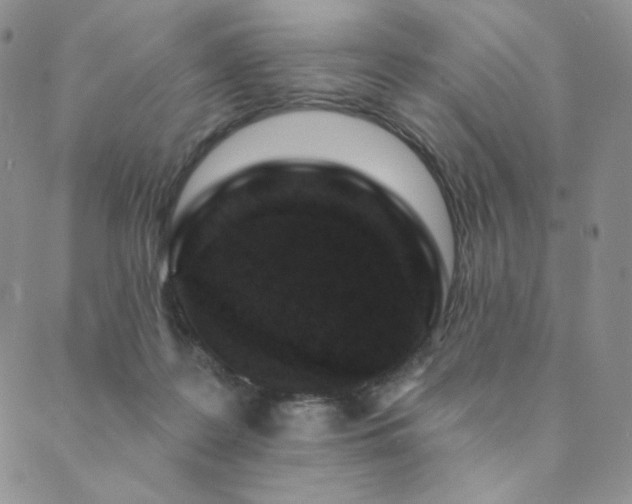 X0000089880219200706281358