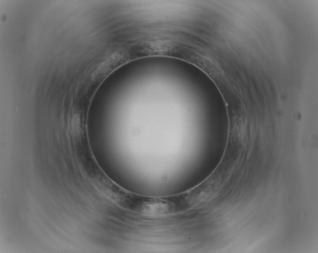 X0000089880220200706281358