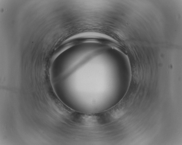 X0000089880221200706281358