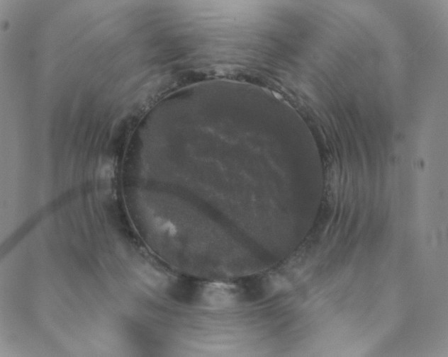 X0000089880222200706281358