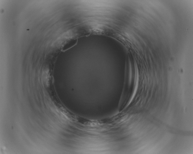 X0000089880223200706281357