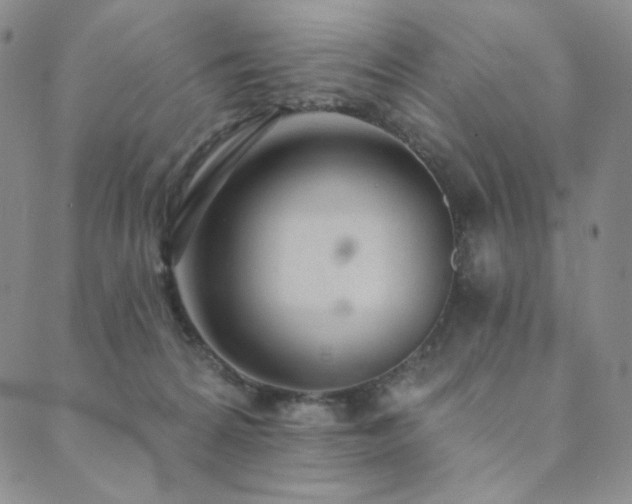 X0000089880224200706281357