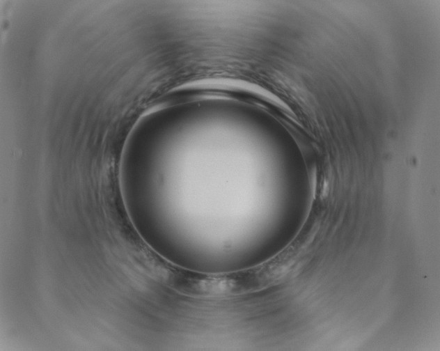 X0000089880225200706281357